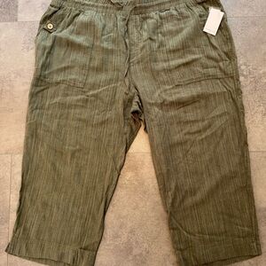 Westbound Green Capri Pants with Textured Stripes